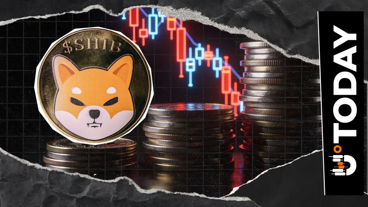 Shiba Inu (SHIB) Volume Falls 20%, Liquidity Crunch Coming?