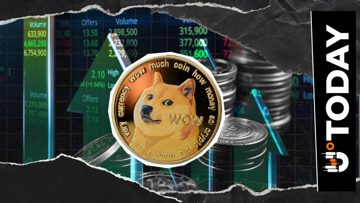 Dogecoin Bigger Than Entire NFT Market by 800%