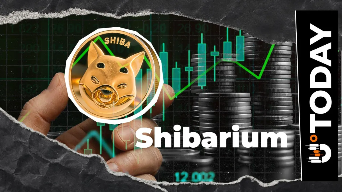 Shibarium Transactions Surge 44%, but SHIB Isn't Moving