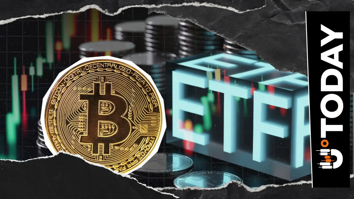  Spot Bitcoin ETFs See Huge Cash Inflows