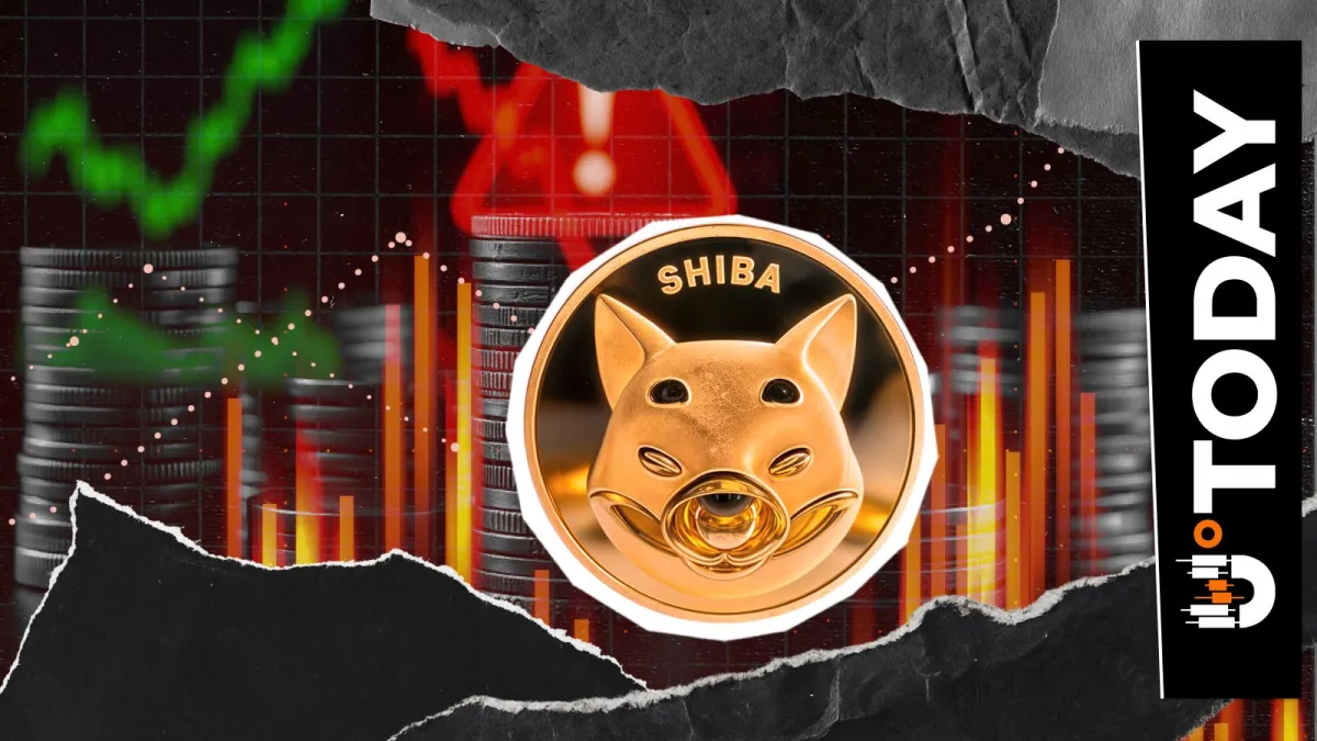 SHIB Team Issues Update as Shiba Inu Website Faces Temporary Disruption