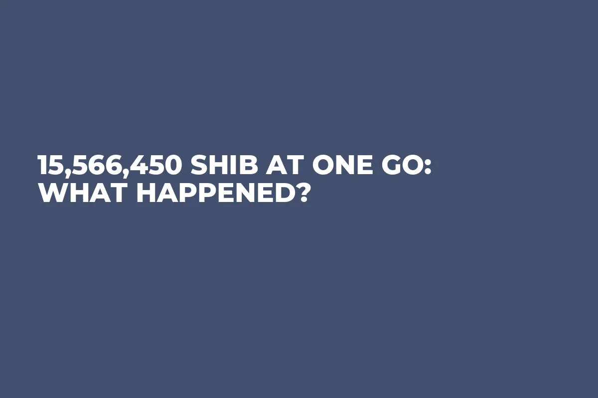 15,566,450 SHIB at One Go: What Happened?