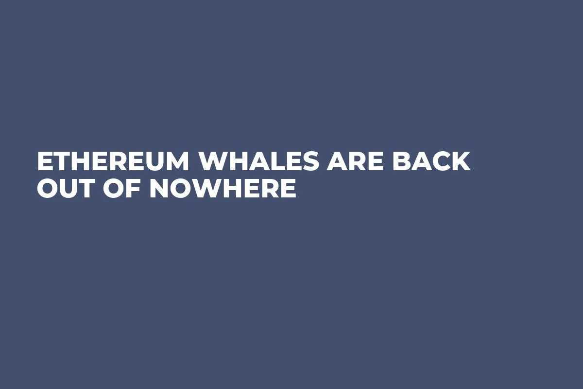 Ethereum Whales Are Back out of Nowhere