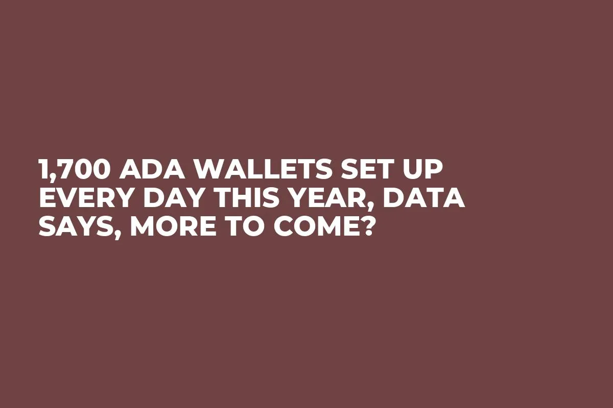 1,700 ADA Wallets Set up Every Day This Year, Data Says, More to Come?