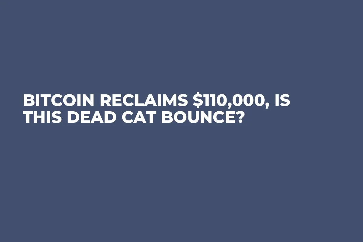 Bitcoin Reclaims $110,000, Is This Dead Cat Bounce?