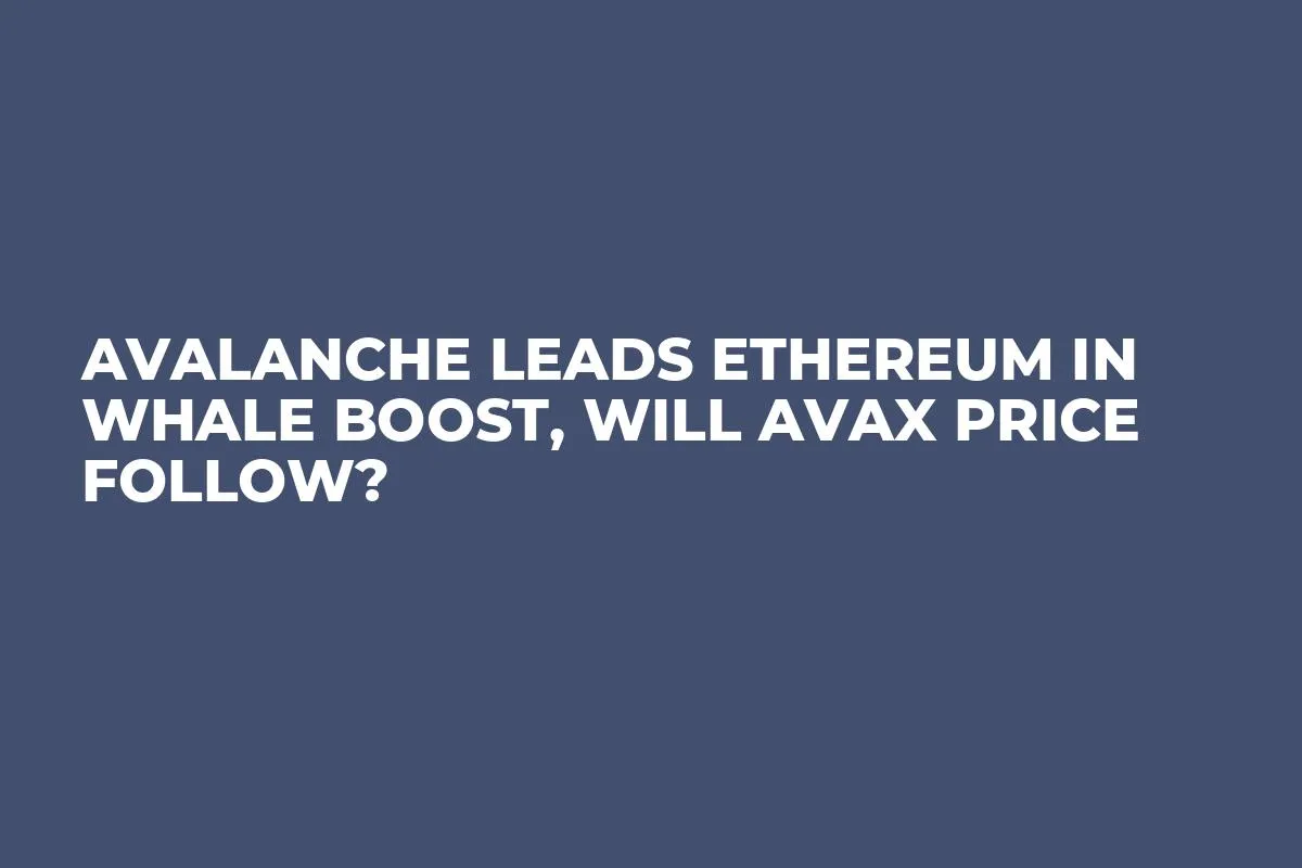 Avalanche Leads Ethereum in Whale Boost, Will AVAX Price Follow?