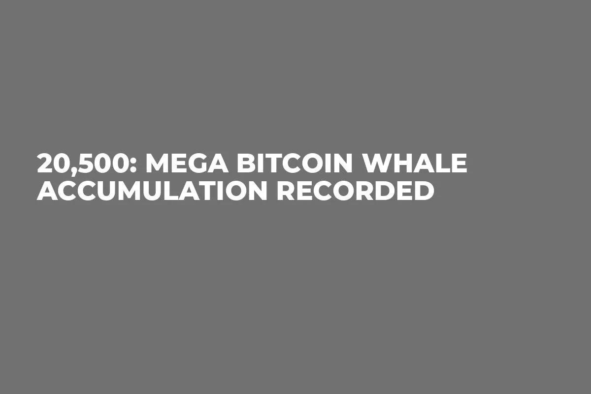 20,500: Mega Bitcoin Whale Accumulation Recorded