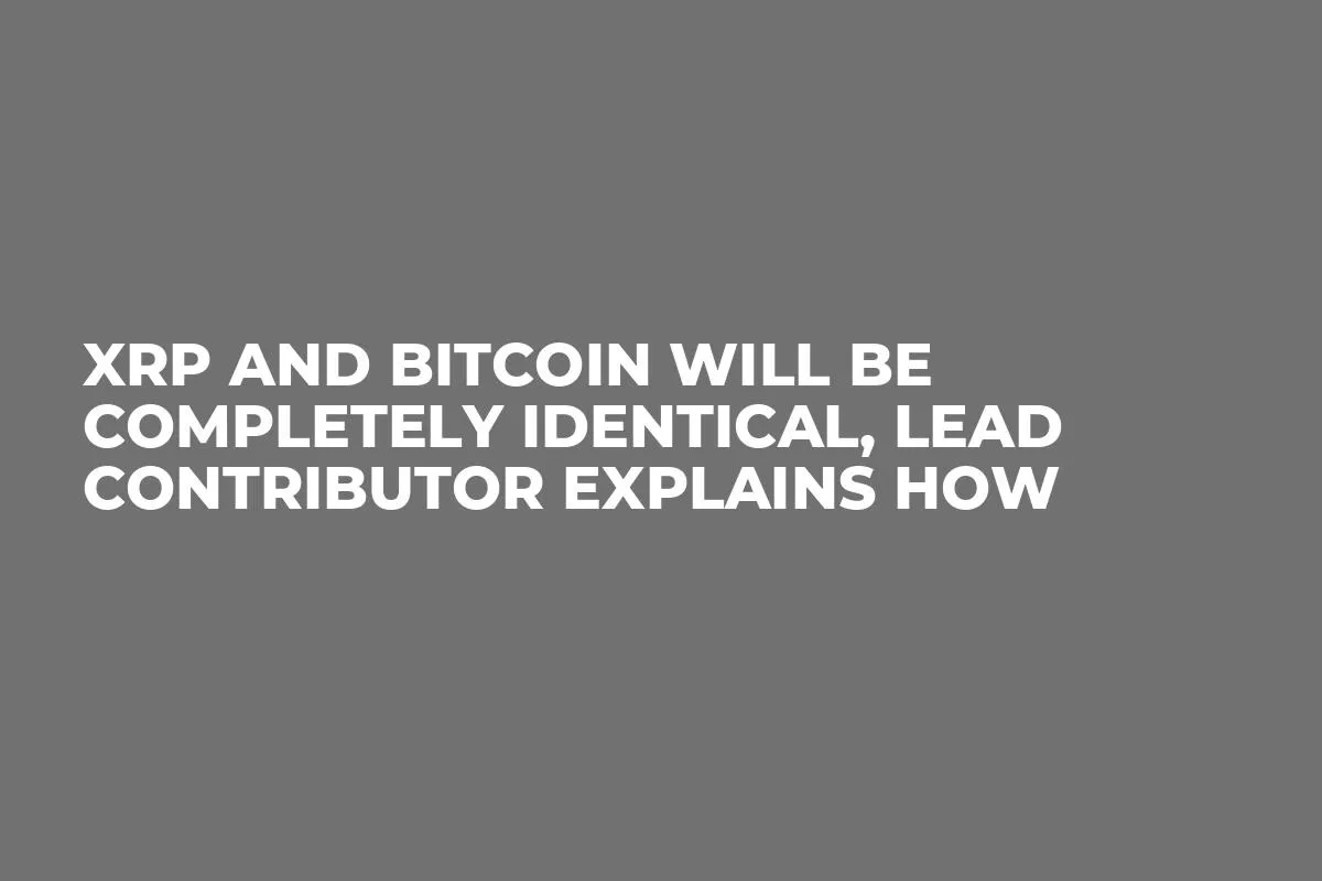 XRP and Bitcoin Will Be Completely Identical, Lead Contributor Explains How