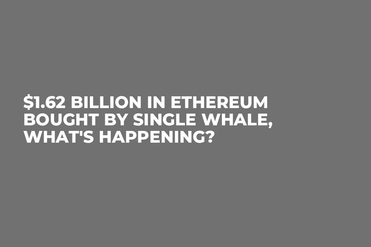 $1.62 Billion in Ethereum Bought By Single Whale, What's Happening?