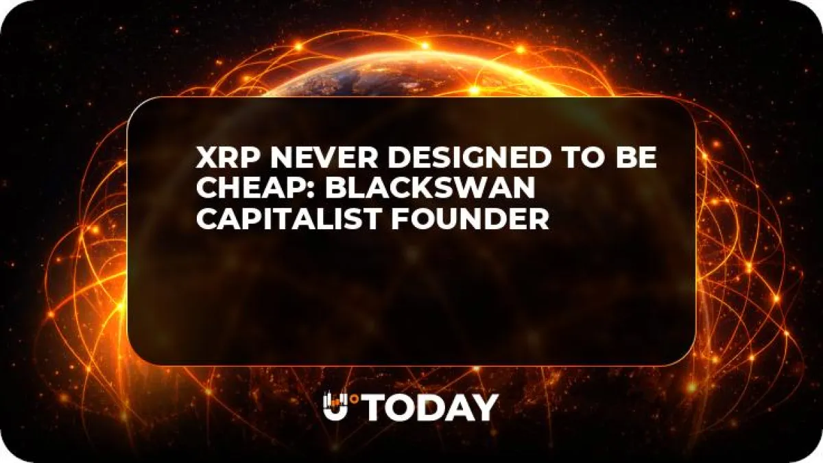 XRP Never Designed to Be Cheap: BlackSwan Capitalist Founder