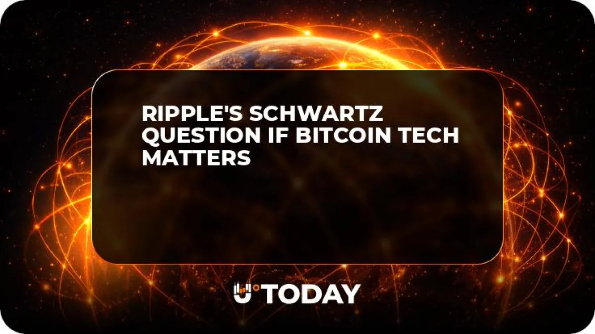 Ripple's Schwartz Question if Bitcoin Tech Matters