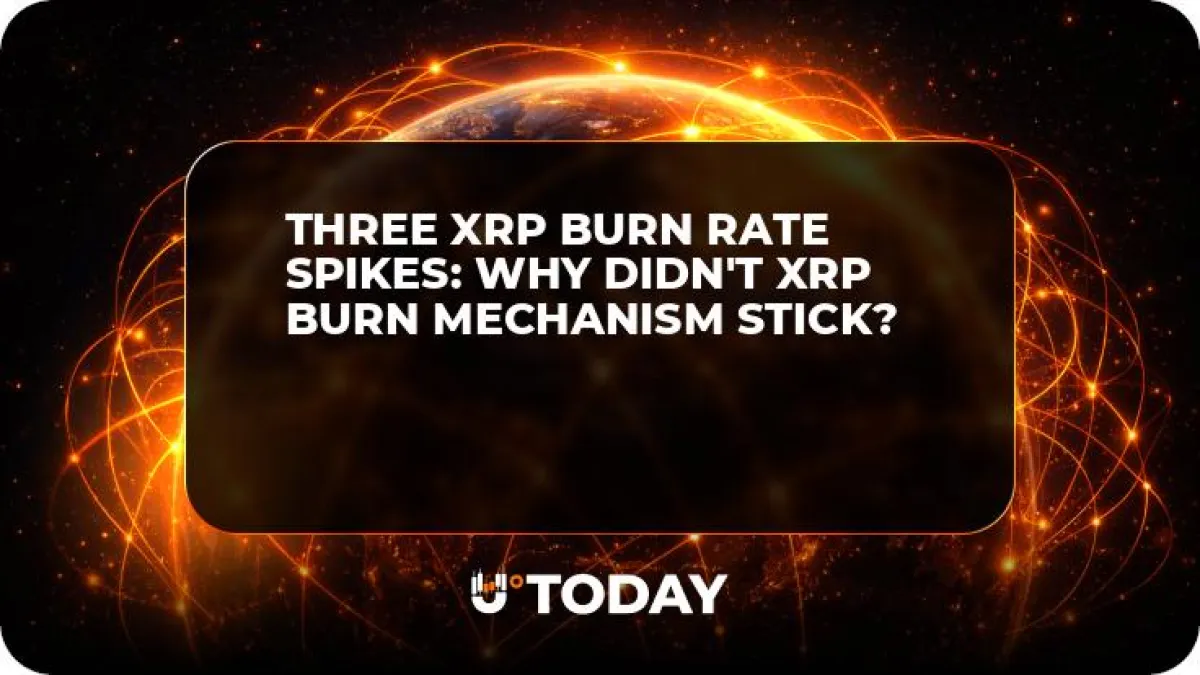 Three XRP Burn Rate Spikes: Why Didn't XRP Burn Mechanism Stick?