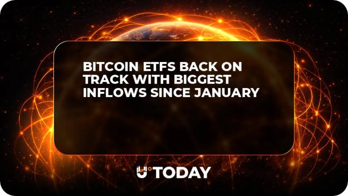 Bitcoin ETFs Back on Track With Biggest Inflows Since January