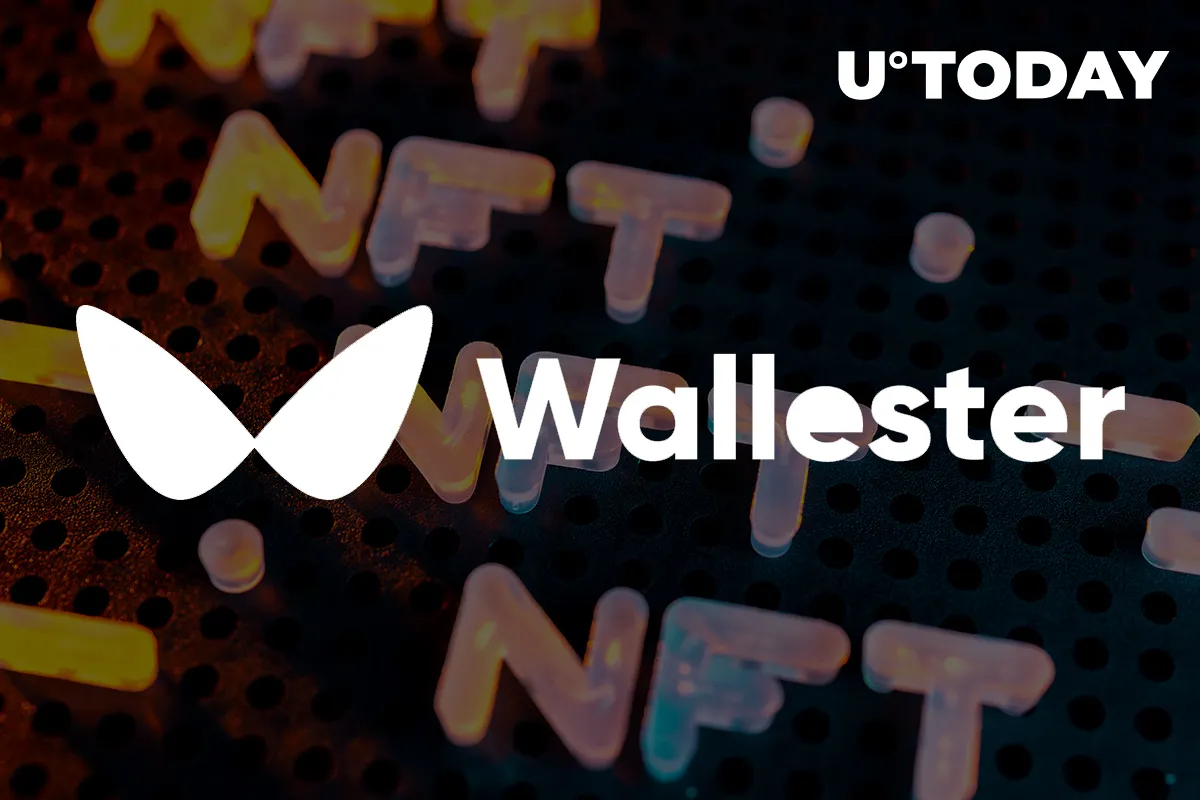 Visa Partner Wallester Purchases Its First 33 NFTs