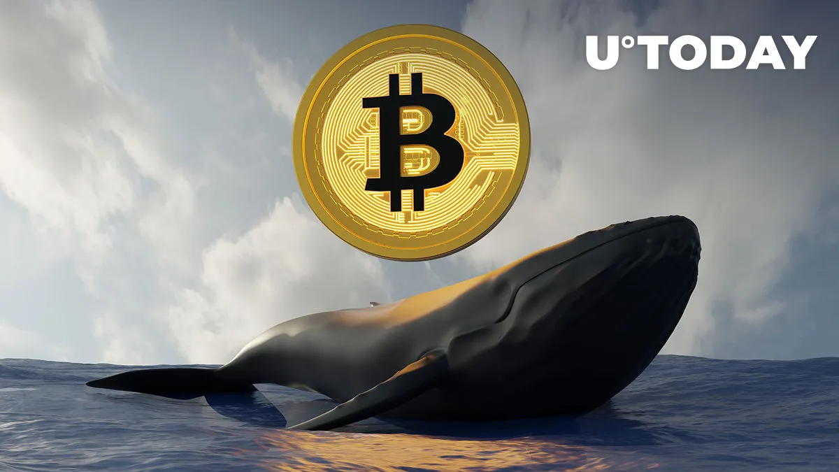 Monster Bitcoin (BTC) Purchase Mystifies Community  