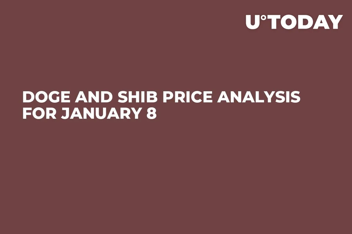 DOGE and SHIB Price Analysis for January 8