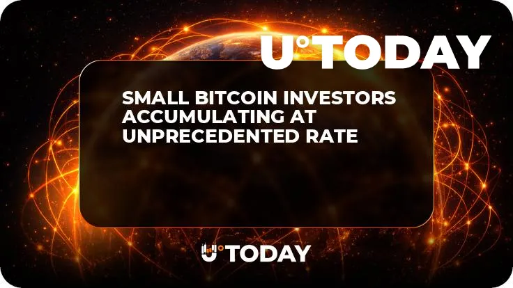 Small Bitcoin Investors Accumulating at Unprecedented Rate