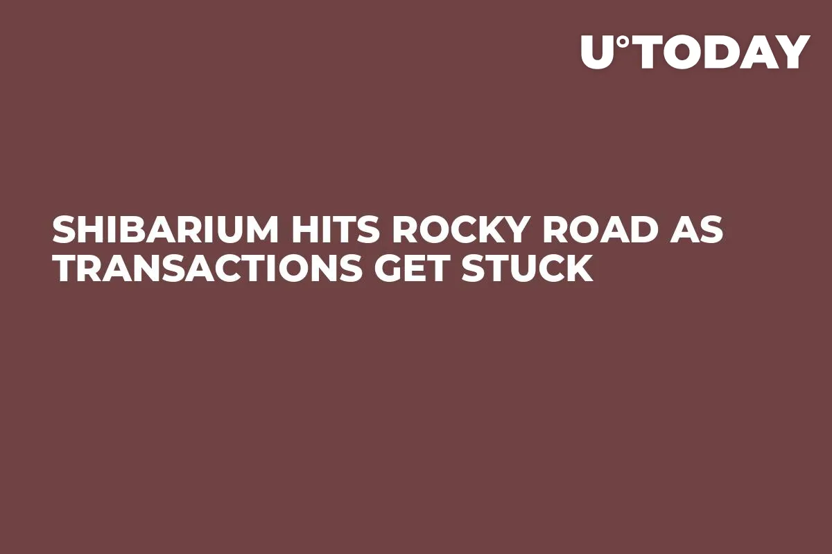 Shibarium Hits Rocky Road as Transactions Get Stuck