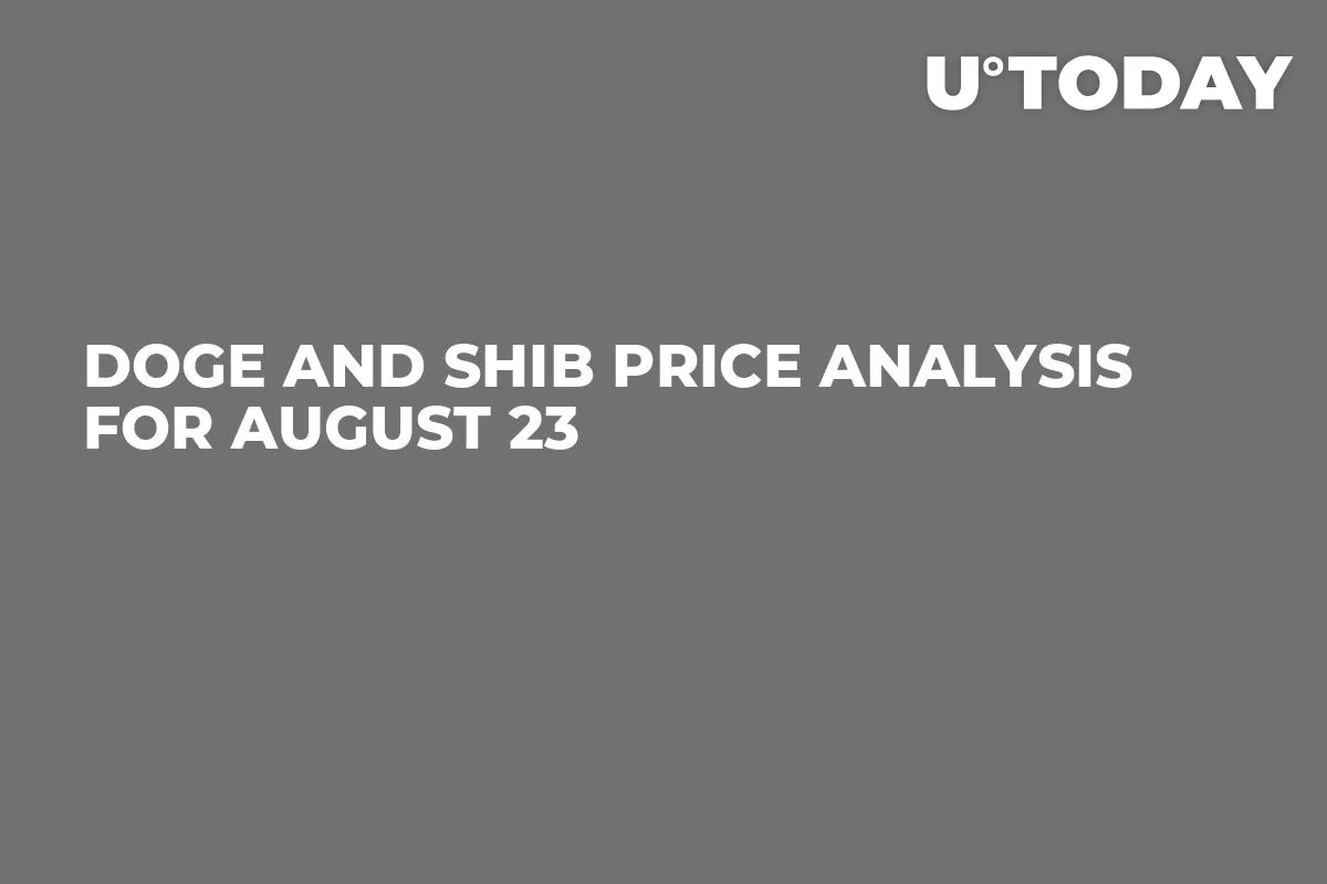 DOGE and SHIB Price Analysis for August 23