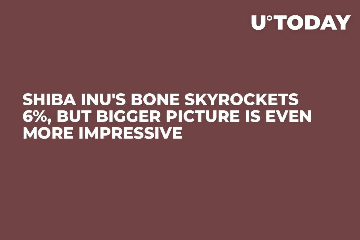 Shiba Inu's BONE Skyrockets 6%, But Bigger Picture Is Even More Impressive