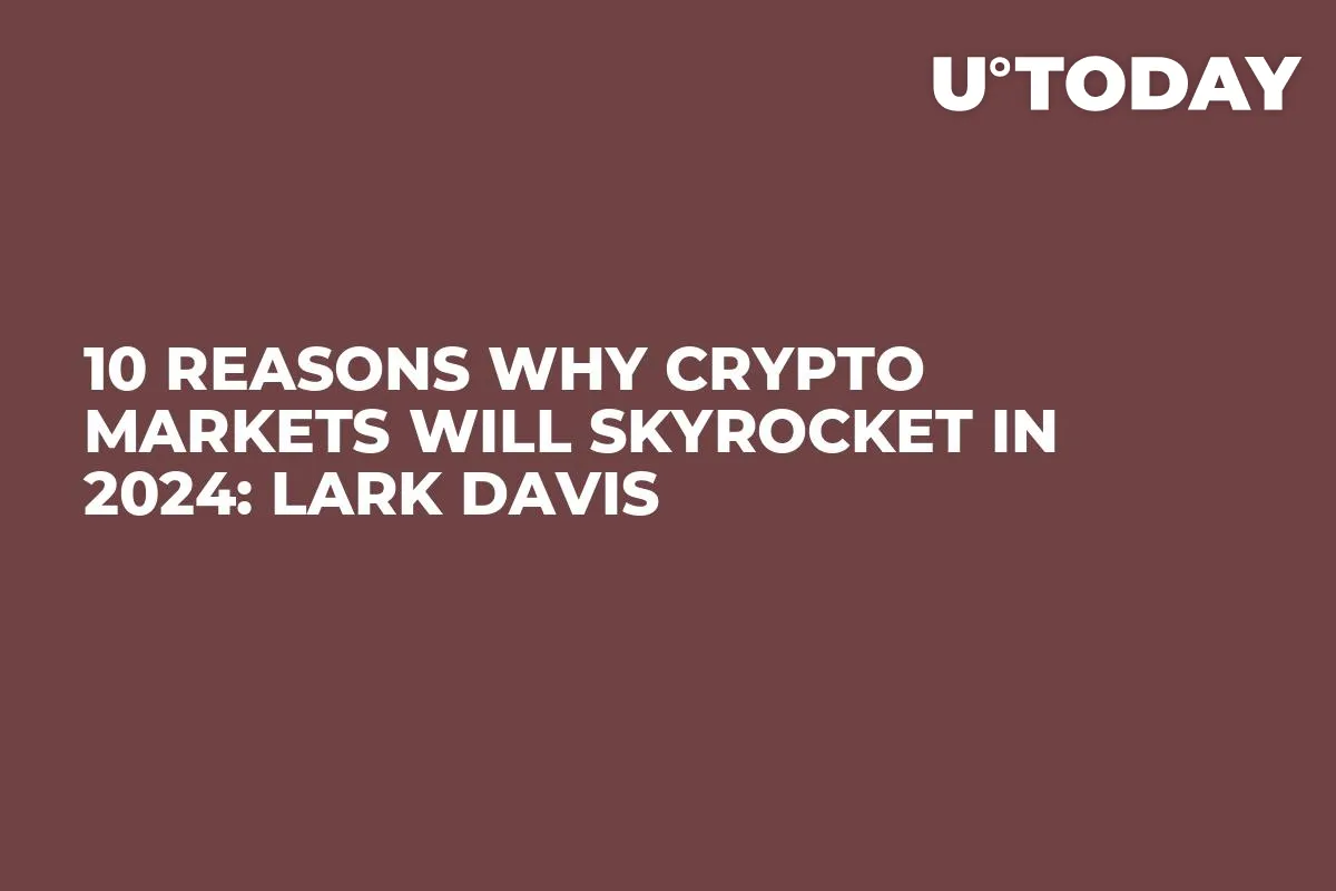 10 Reasons Why Crypto Markets Will Skyrocket in 2024: Lark Davis