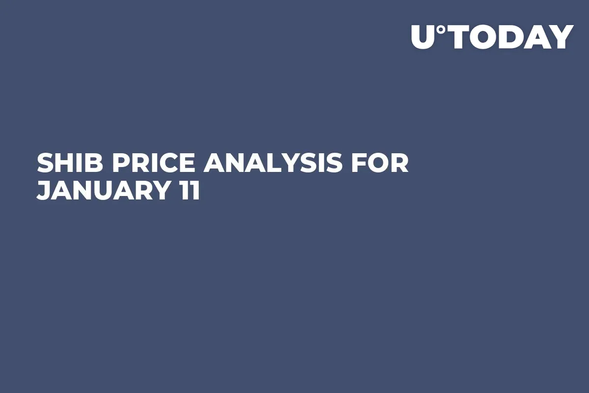 SHIB Price Analysis for January 11