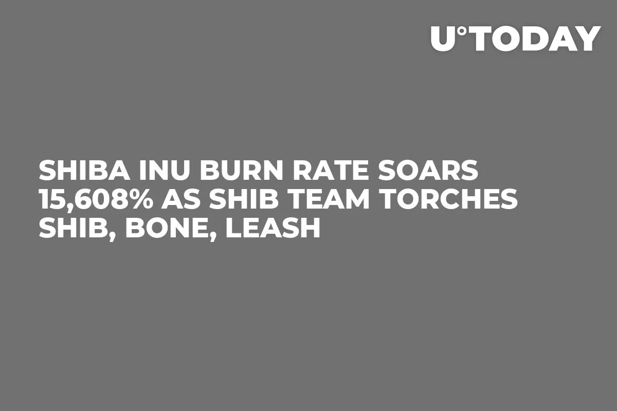 Shiba Inu Burn Rate Soars 15,608% as SHIB Team Torches SHIB, BONE, LEASH