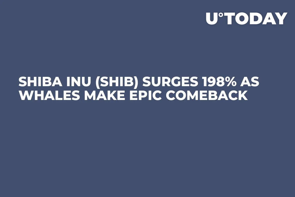 Shiba Inu (SHIB) Surges 198% as Whales Make Epic Comeback