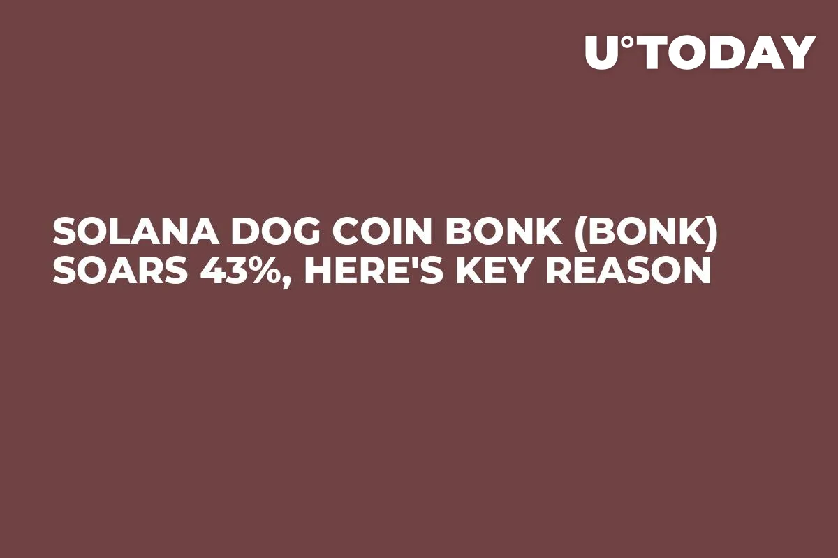 Solana Dog Coin Bonk (BONK) Soars 43%, Here's Key Reason