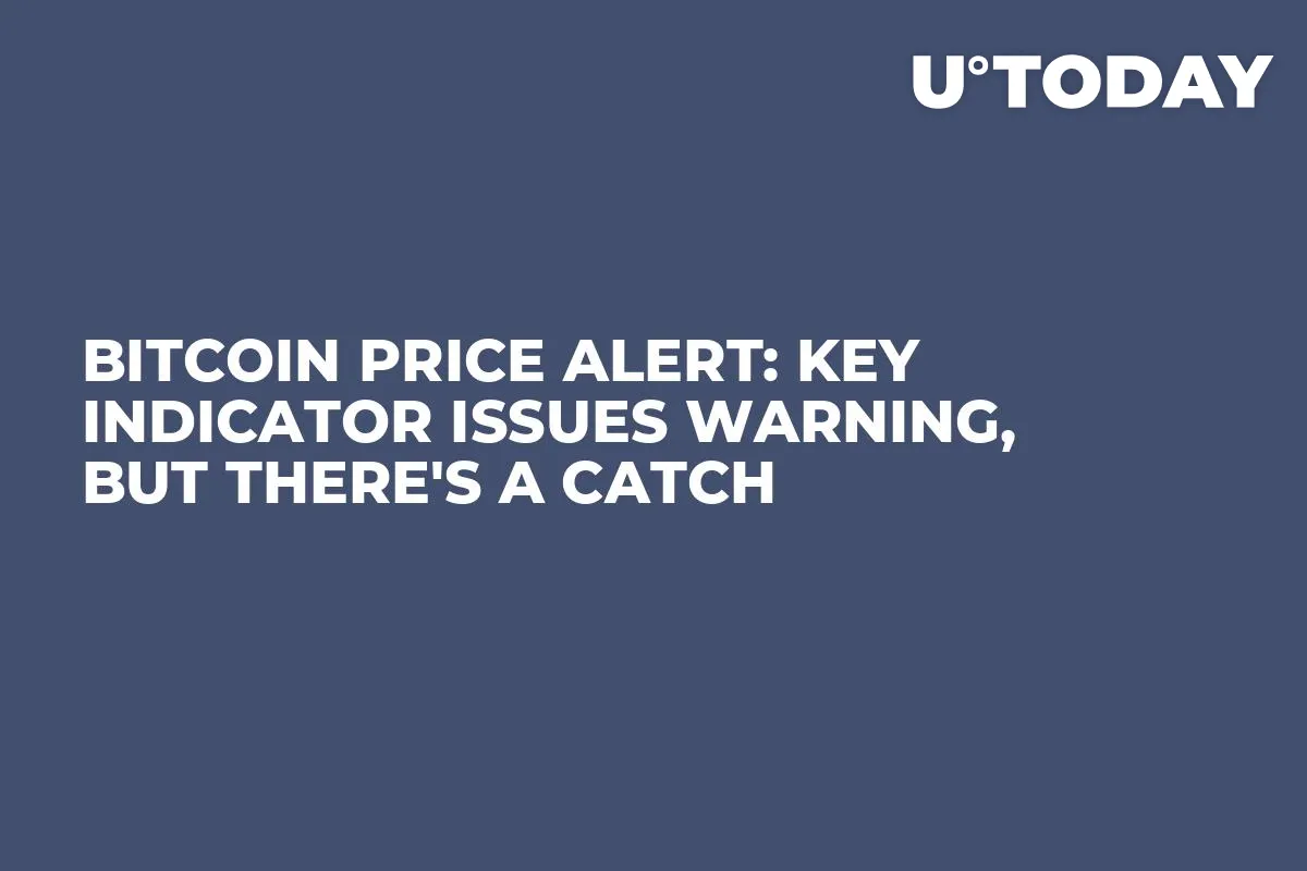Bitcoin Price Alert: Key Indicator Issues Warning, But There's a Catch