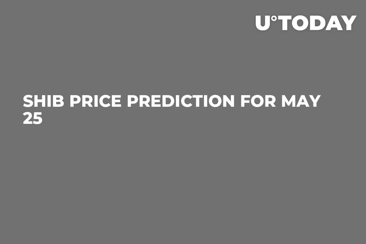 SHIB Price Prediction for May 25
