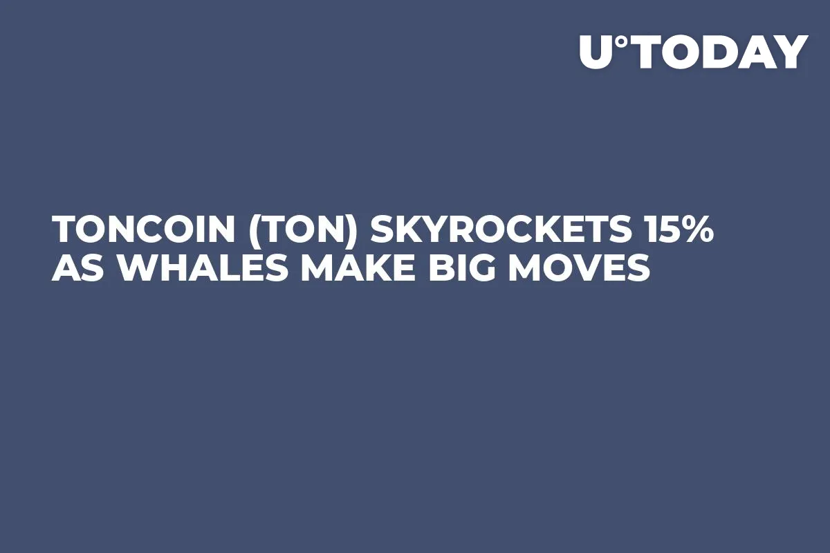 Toncoin (TON) Skyrockets 15% as Whales Make Big Moves