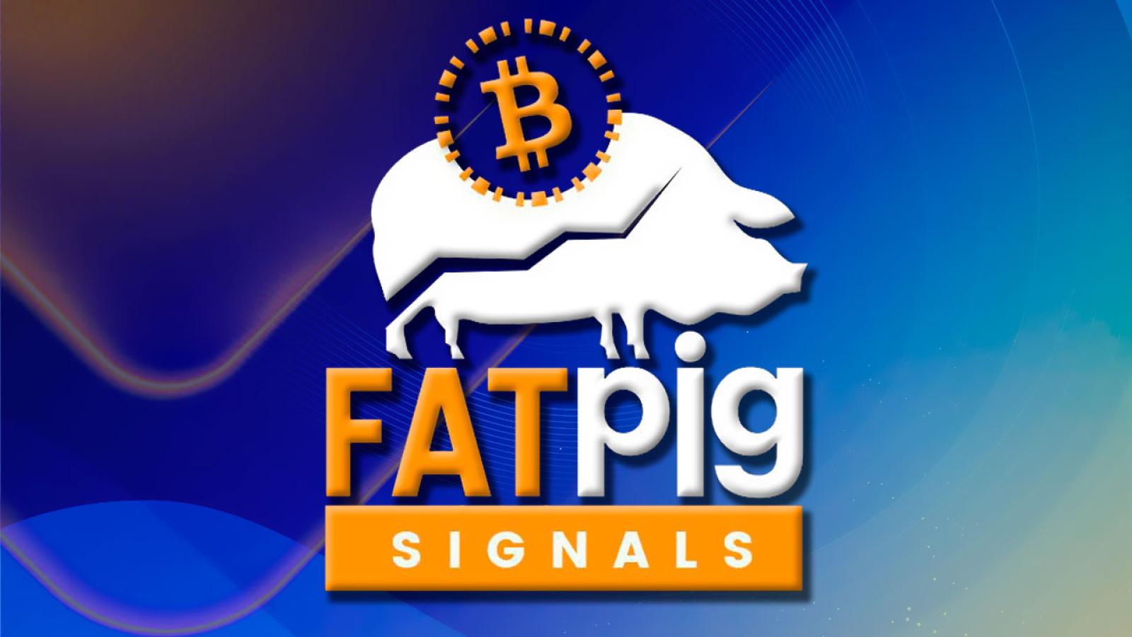 Has Bitcoin Reached the Bottom?