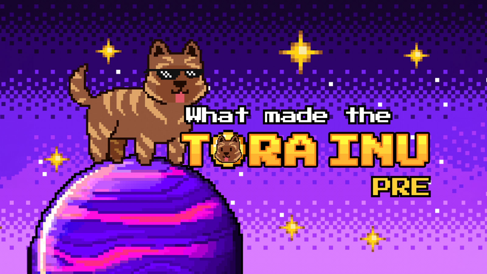 What Made the Tora Inu Pre-sale a Grand Success