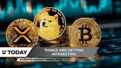 Crypto Market Review: XRP Might Go Parabolic, Perfect Bitcoin (BTC) Bounce Setup, Dogecoin (DOGE) Losing Critical Support Level