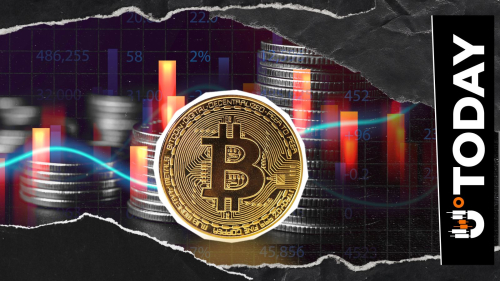  $521,196,758 Bitcoin Moved Anonymously As Price Remains Under $80,000