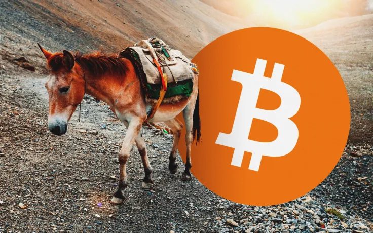 Bitcoin Fraudsters Trick Victims Into Becoming Money Mules. Here's How They Do It