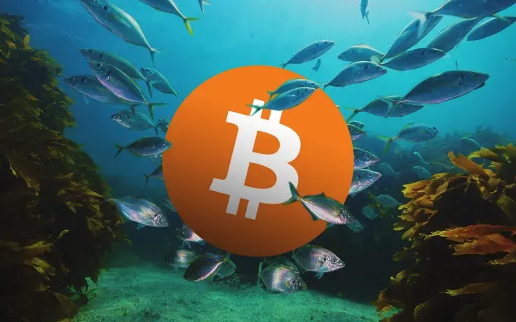 Data Shows Bitcoin (BTC) Could Be in New Accumulation Stage. Are HODLers Coming Back?