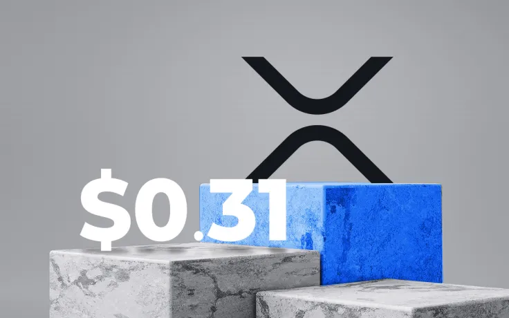 XRP Soars Above $0.31, Surpassing Litecoin (LTC)