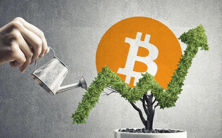 Prominent Financial Expert Names Driver Likely to Fuel Bitcoin Growth