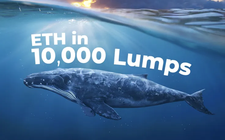 Whales Acquiring ETH in 10,000 Lumps, While Ethereum Partners with Reddit