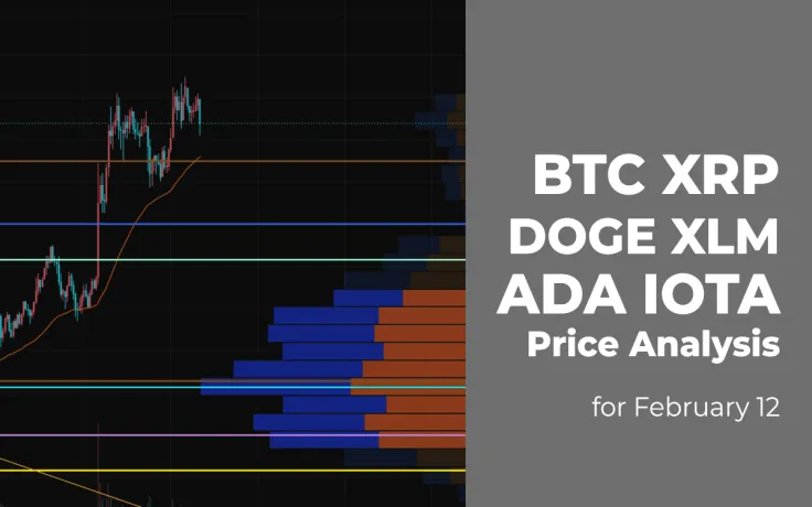 BTC, XRP, DOGE, XLM, ADA and IOTA Price Analysis for February 12