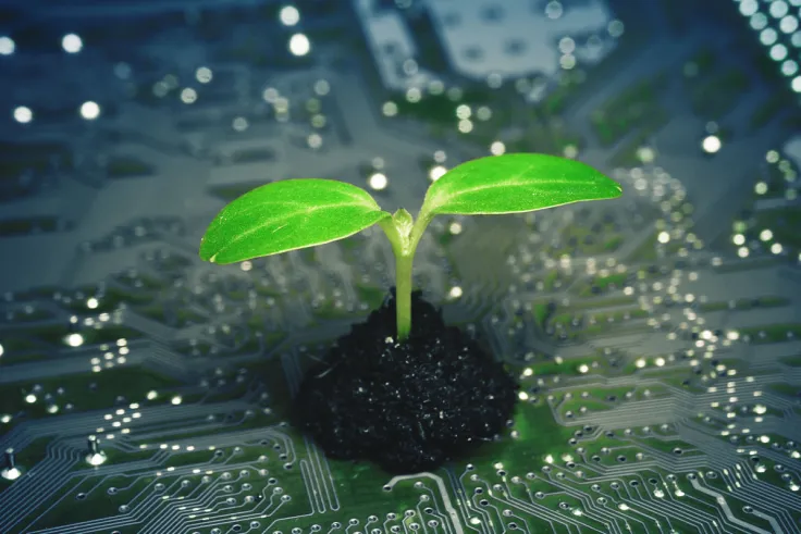 Bitcoin-Hating Bitcoin Millionaire Donates His Wealth to Germany's Green Party