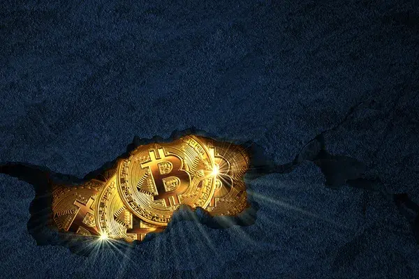 Bitcoin Long-Term Hodlers and Miners Accumulate BTC Actively, Here’s What It Means for the Market