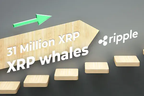 Ripple Helps Move 31 Million XRP, While Number of XRP Whales Soars in Q1 