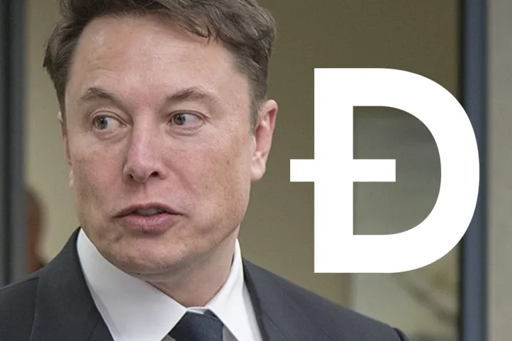 Anyone Grabbing DOGE Plays into Elon Musk’s Hustle: Chamber of Digital Commerce CEO