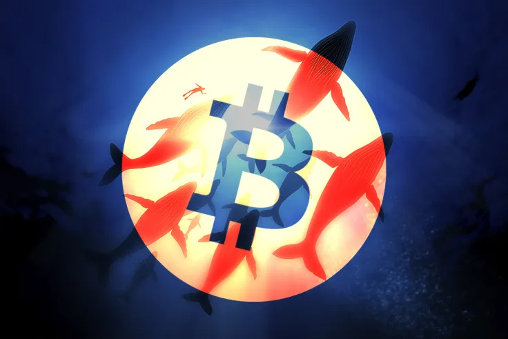 Bitcoin Whales Grabbing the Dip as Bitcoin Drops Below $30,000 and Miners Are Selling