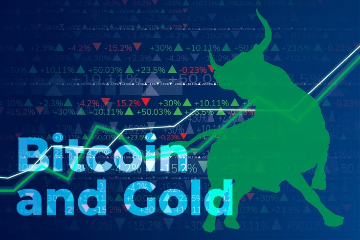 Bullish Implications for Bitcoin and Gold Spotted in 2H 2021: Bloomberg’s Mike McGlone