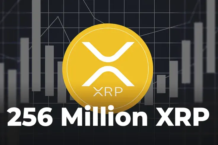 256 Million XRP Transferred from Coinbase Wallet