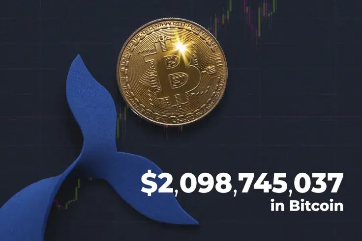 $2,098,745,037 in Bitcoin Transferred by Crypto Whales